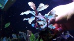 20170305_152949.jpg