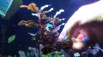 20170305_153032.jpg