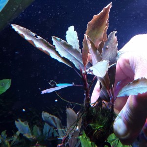 20170305_153936.jpg