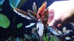 20170305_154008.jpg