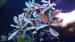 20170305_154337.jpg