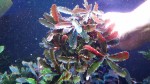 20170305_154346.jpg