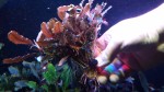 20170305_154405.jpg
