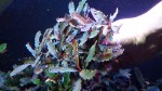 20170305_154420.jpg