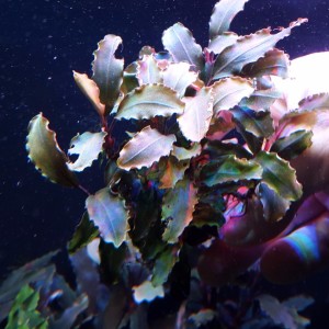 20170305_155126.jpg