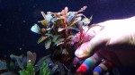 20170305_155139.jpg
