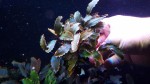 20170305_155145.jpg