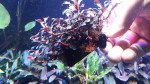 20170305_161948.jpg