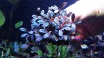 20170305_162318.jpg