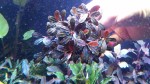 20170305_162325.jpg
