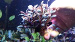 20170305_162354.jpg