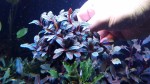 20170305_162421.jpg