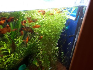 20170319_215450.jpg