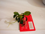 DSC05669.JPG