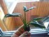 DSCN0655.JPG