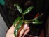 DSCN0659.JPG