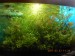 DSCN5809.JPG