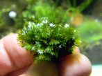 DSCN7118.JPG