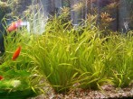 IMG_20170304_165228.jpg