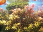 IMG_20170304_165249.jpg