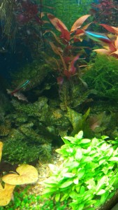 IMG_20170327_163044.jpg