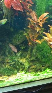 IMG_20170327_163052.jpg