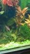IMG_20170327_163052.jpg