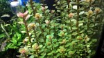 WP_20170305_14_12_15_Pro.jpg