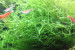 copy_144_IMG_3867.jpg