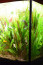 copy_192_copy_165_green-gekko.jpg