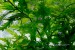 copy_292_027-2.jpg