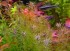 copy_504_copy_932_2-7.jpg