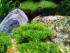 copy_520_IMG_20161121_180301.jpg