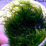 copy_830_copy_405_copy_734_флєйм0.jpg