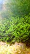 copy_85_DSC04093-1.jpg