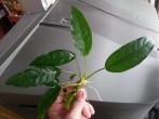 20170410_115836.jpg