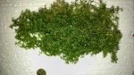 20170422_182510.jpg
