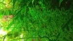 20170422_183257.jpg