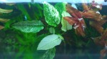 20170423_132846.jpg