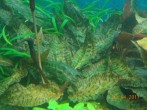 DSCN0570.JPG