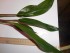 DSCN2490.JPG