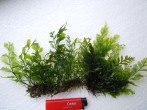 DSCN4740.JPG