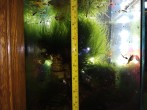IMG_20170408_211440.jpg