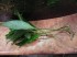 IMG_20170428_203915.jpg