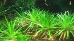 WP_20170331_15_08_47_Pro.jpg
