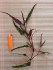copy_222_copy_365_20170316_091558-1.jpg