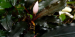 copy_422_copy_680_Снимок.png