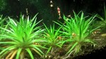 copy_449_WP_20170331_15_08_53_Pro.jpg
