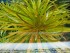 copy_498_l2.jpg