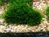 copy_499_IMG_20170421_175306.jpg